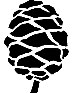 Sequoia Studio pine cone logo